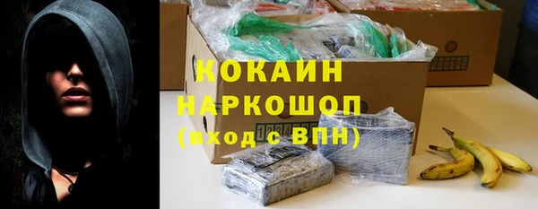 сатива Абаза