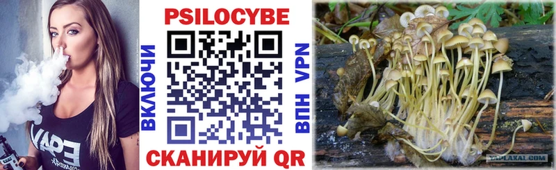 Галлюциногенные грибы Cubensis  где продают   Кызыл 