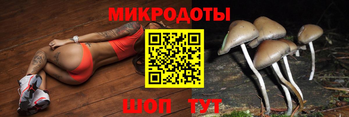 дарнет шоп  Вход с VPN  Псилоцибиновые грибы прущие грибы  Кызыл  Галлюциногенные грибы MAGIC MUSHROOMS 