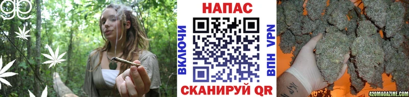 где найти наркотики  Кызыл  Шишки марихуана марихуана 